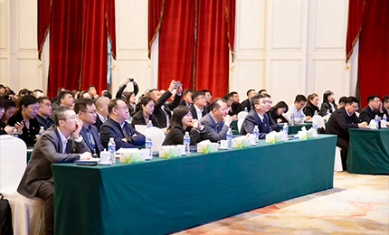 尊时凯龙集团党委“书记带项目”工作阶段性进展汇报会成功召开